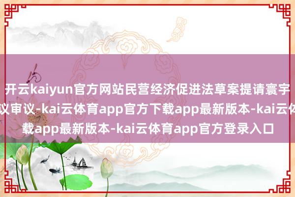 开云kaiyun官方网站民营经济促进法草案提请寰宇东说念主大常委会会议审议-kai云体育app官方下载app最新版本-kai云体育app官方登录入口