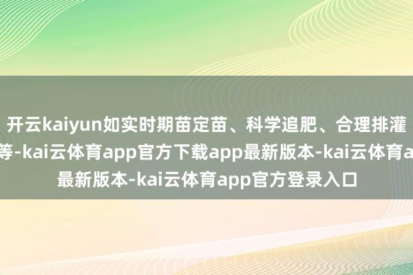 开云kaiyun如实时期苗定苗、科学追肥、合理排灌、实时摘蕾打尖等-kai云体育app官方下载app最新版本-kai云体育app官方登录入口