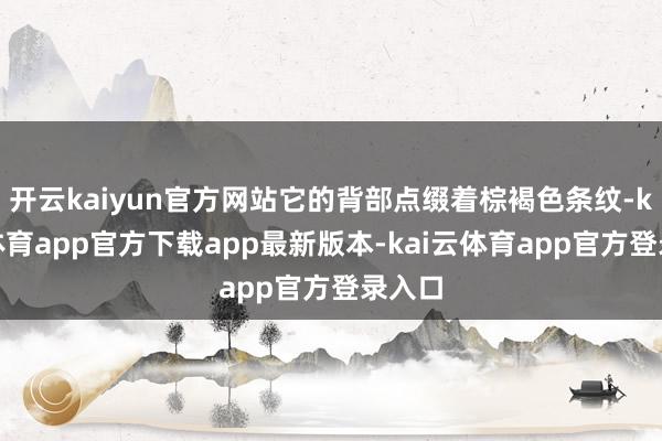 开云kaiyun官方网站它的背部点缀着棕褐色条纹-kai云体育app官方下载app最新版本-kai云体育app官方登录入口