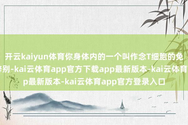 开云kaiyun体育你身体内的一个叫作念T细胞的免疫细胞会产生和辞别-kai云体育app官方下载app最新版本-kai云体育app官方登录入口