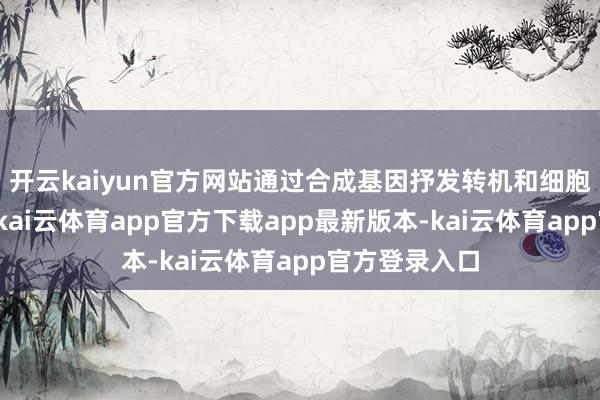 开云kaiyun官方网站通过合成基因抒发转机和细胞区室化作用-kai云体育app官方下载app最新版本-kai云体育app官方登录入口