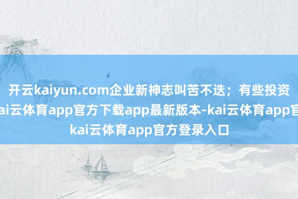 开云kaiyun.com企业新神志叫苦不迭；有些投资烂在中途-kai云体育app官方下载app最新版本-kai云体育app官方登录入口