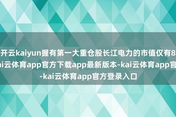开云kaiyun握有第一大重仓股长江电力的市值仅有8.78万元-kai云体育app官方下载app最新版本-kai云体育app官方登录入口