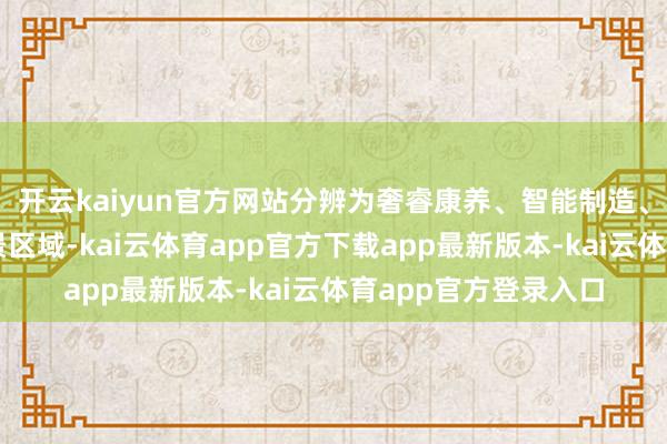 开云kaiyun官方网站分辨为奢睿康养、智能制造、奢睿园区等多个实景区域-kai云体育app官方下载app最新版本-kai云体育app官方登录入口